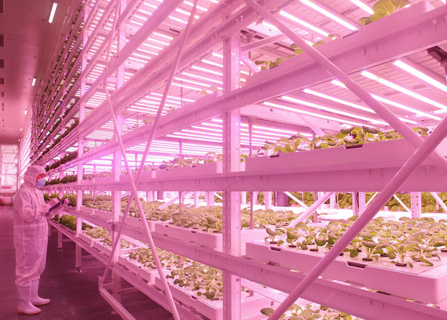 Plant2018中國國際植物工廠及農(nóng)業(yè)照明博覽會即將在滬開幕