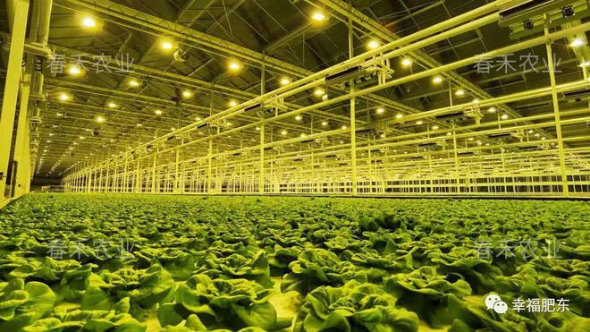 投資28億元!春禾智慧農業產業園、光伏發電項目落戶肥東!