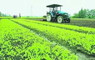 重磅│國務(wù)院已經(jīng)拍板 這七類重慶人要漲工資了