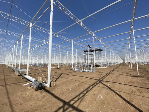 萊西 現代智慧農業項目二期年內投入使用 可年供應國際標準農產品約4.3萬噸