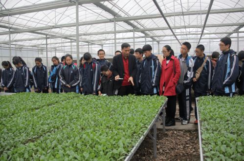 小康路上的溫州統(tǒng)戰(zhàn)人⑨ 林志寅 帶領(lǐng)更多新農(nóng)人共助鄉(xiāng)村振興