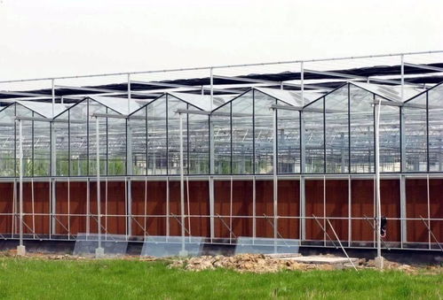 想建玻璃溫室的應(yīng)多看看建溫室時需要考慮的因素