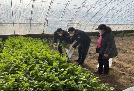 北京市農業執法系統開展監督抽查 護航春節農產品質量安全