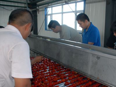134團開足馬力加工番茄 - 國內(nèi)新聞 - 新聞資訊 - 農(nóng)村信息網(wǎng)-農(nóng)業(yè)信息-農(nóng)民工招聘-農(nóng)產(chǎn)品價格行情-養(yǎng)殖技術(shù)