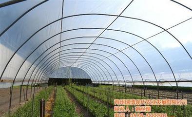 【新昌晟物產(圖) 溫室工程生產廠家】圖片,海量精選高清圖片庫