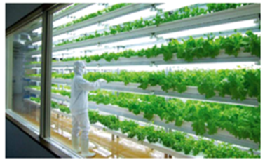 熱點押題卷01 智慧農業