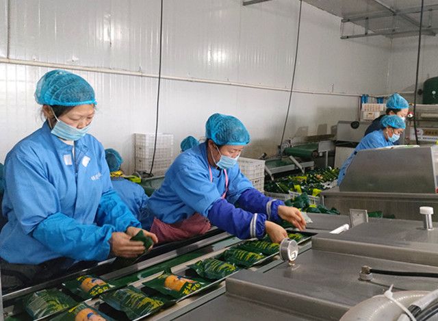 寶清縣農(nóng)民足不出戶家門(mén)口打工掙錢(qián)腰包鼓