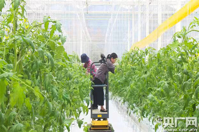 魚(yú)菜共生、數(shù)字魚(yú) 浙江德清讓農(nóng)業(yè)更智慧