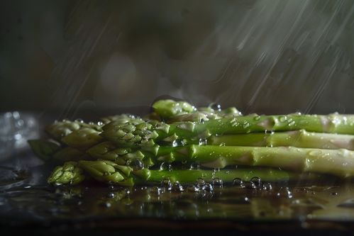 農(nóng)產(chǎn)品成熟營(yíng)養(yǎng)蔬菜蘆筍圖片攝影圖 廣告素材 下載至來(lái)源處