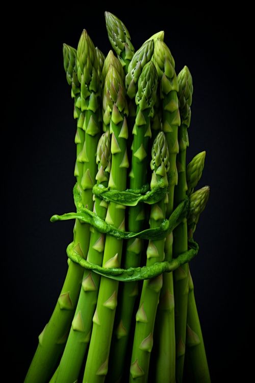 農(nóng)產(chǎn)品蔬菜蘆筍圖片攝影圖 廣告素材 下載至來(lái)源處