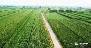 沒錯,這就是農業的未來