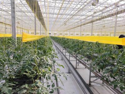 【觀察】緊盯&ldquo;十四五&rdquo;目標(biāo) 濰坊國(guó)家農(nóng)綜區(qū)模式再升級(jí)