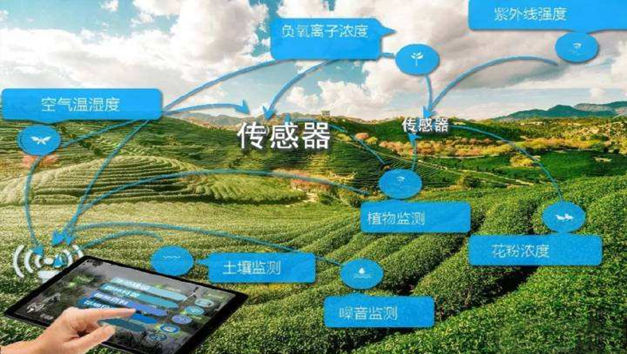 騰淵達(dá)智慧園林解決方案,讓人與自然更親近一步