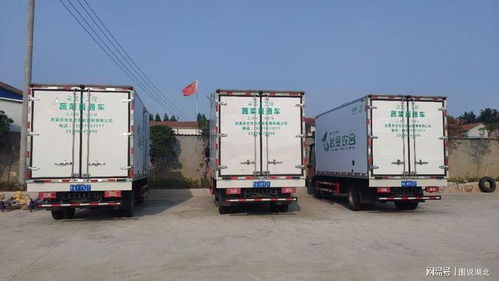 武漢市選派813名第一書記 463支工作隊(duì)駐村幫扶助力鄉(xiāng)村振興