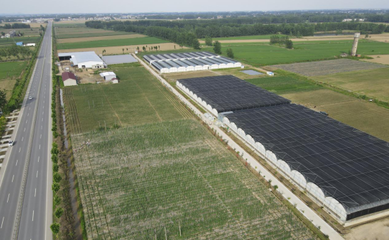 江漢明珠 多福多寶 走進湖北特色美食鄉鎮--天門多寶