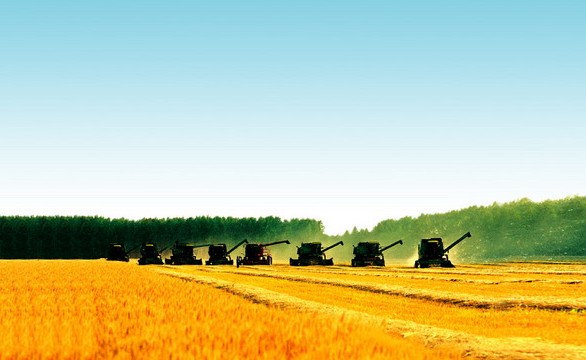 [中研普華]全球糧食價格及我國糧食安全分析