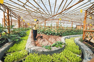 有機農業和有機食品