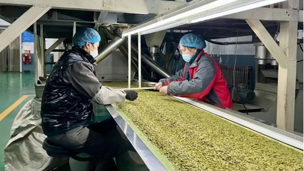 黑龍江省寶清縣入選國家現(xiàn)代農(nóng)業(yè)產(chǎn)業(yè)園