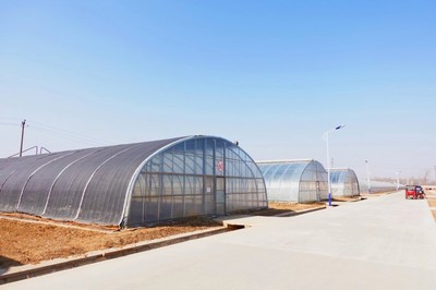 物美植物工廠首次公布數(shù)字化未來農(nóng)業(yè)或成發(fā)展趨勢(shì)