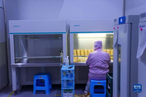 新華全媒 丨村里的金針菇 智能造