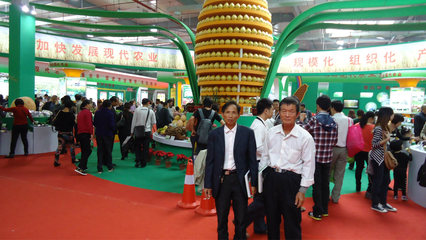 【批發(fā)蜜柚天然果園培植品質(zhì)保障 批發(fā)售賣13459609788】價(jià)格_廠家_圖片 -