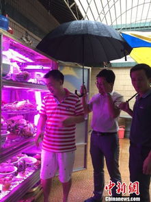 廣東普寧創客發明 植物工廠 可降解農產品殘留農藥