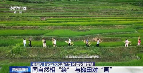 打卡農業文化遺產地 他們把研學活動選在山水林田間