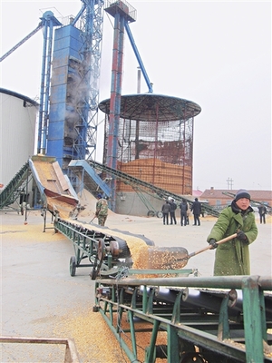 小型稻谷烘干塔廠家與價格概覽——神華機(jī)械廠家在農(nóng)業(yè)機(jī)械領(lǐng)域的優(yōu)勢