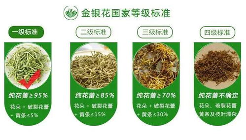 廣西巴馬意生活生態農業產品正式上市 健康農業新標桿，綠色生活新風尚