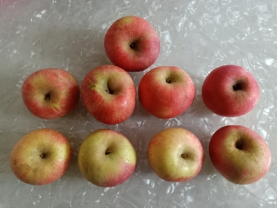 蘋果與文化的交融之旅